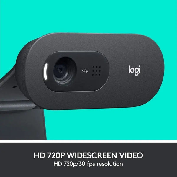 Logitech C505E HD Business Webcam - 720P HD External USB Camera for Desktop or Laptop with Long-Range Microphone, Compatible with PC or Mac - Grey